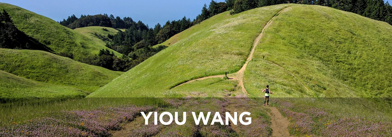 YIOU WANG